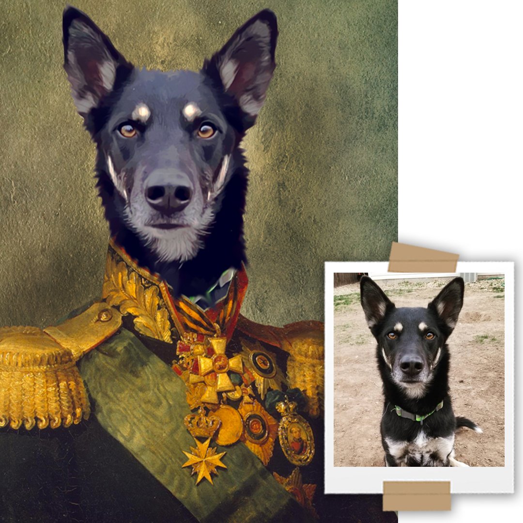 Commander Custom Renaissance Pet Art Canvas