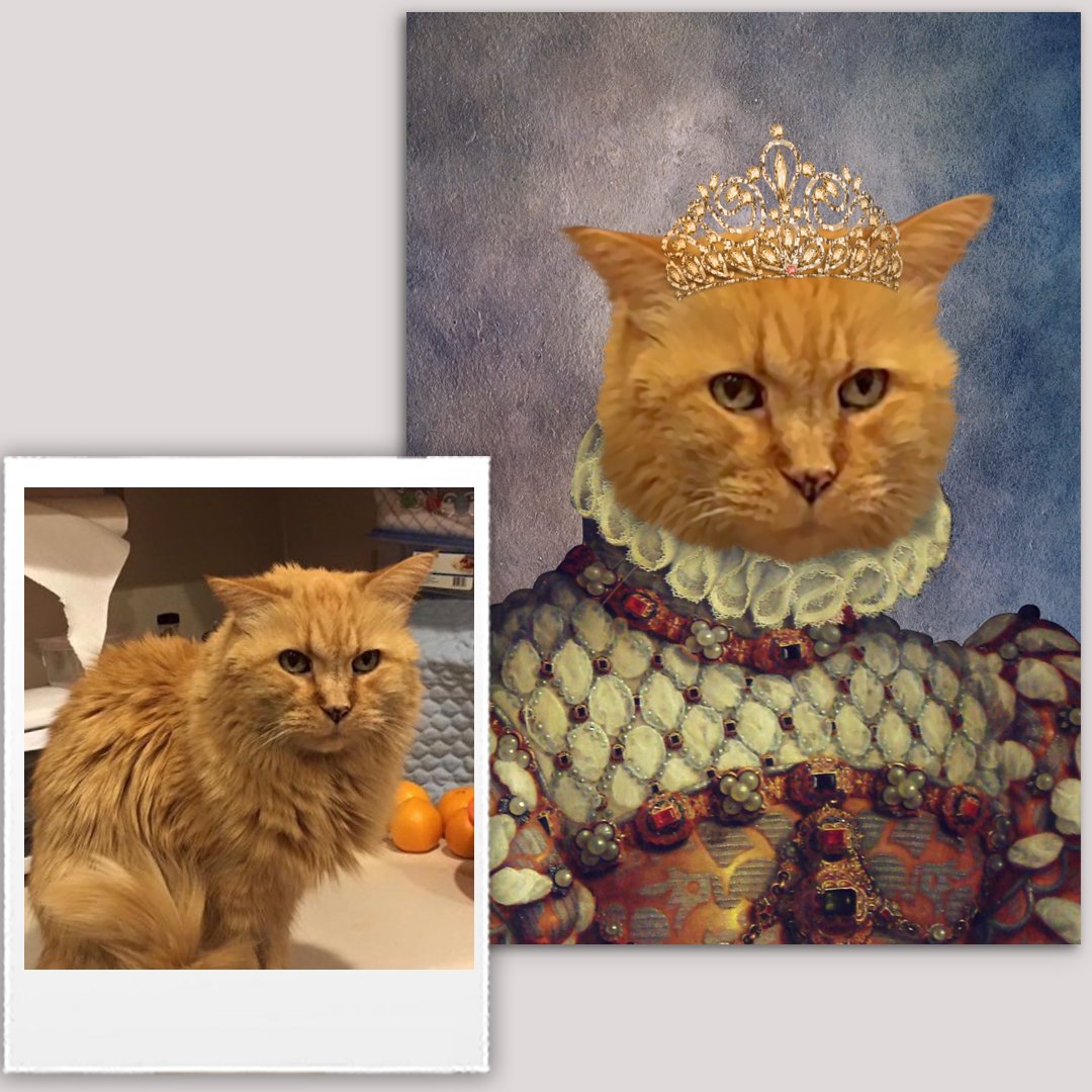 Princess Renaissance Custom Pet Art Canvas