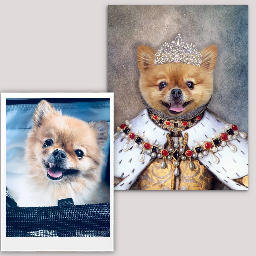 The Queen Renaissance Custom Pet Art Canvas