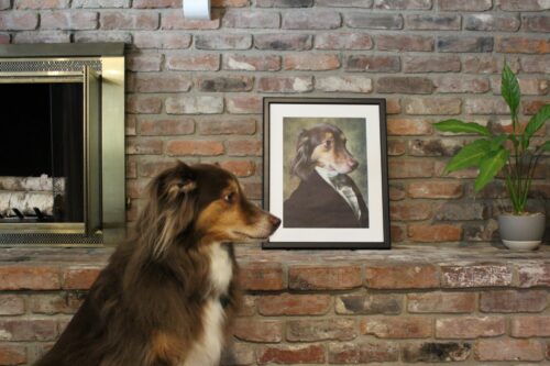 The Count Renaissance Custom Pet Art Canvas photo review