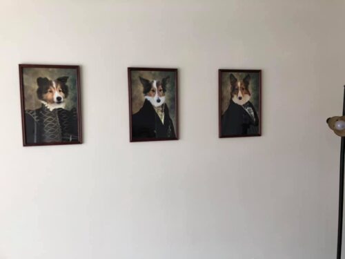 The Duke Renaissance Custom Pet Art photo review