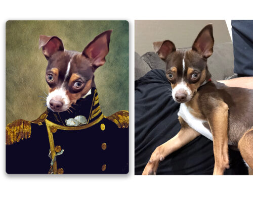 The Admiral Renaissance Custom Pet Art Canvas photo review