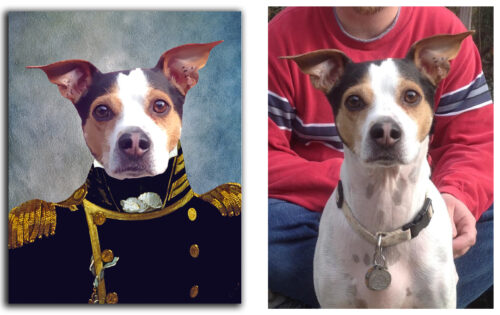 The Admiral Renaissance Custom Pet Art photo review