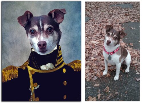 The Admiral Renaissance Custom Pet Art Canvas photo review