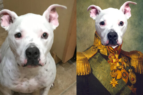 Commander Custom Renaissance Pet Art Canvas photo review