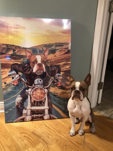 Harley Biker Custom Pet Art photo review