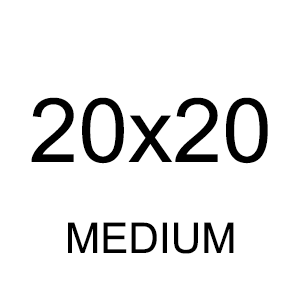 20x20